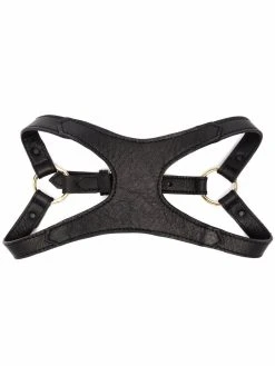 Versace harnais pour animaux Medusa à détails de clous